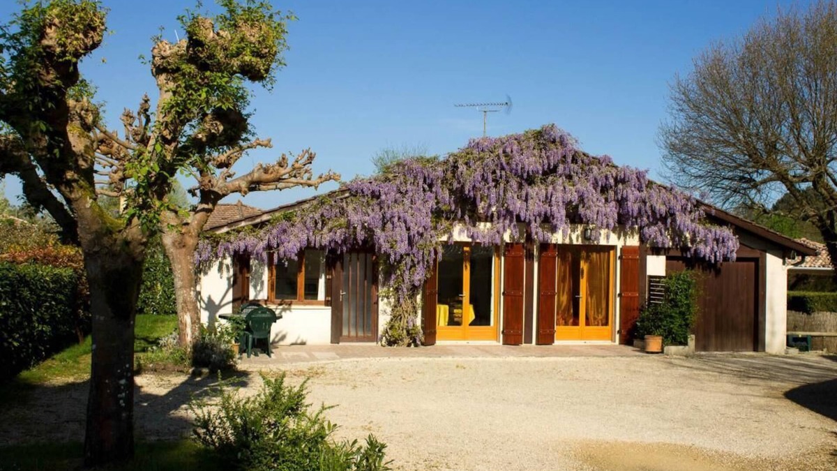 Castets House | Gîte de la Mousque - Castets