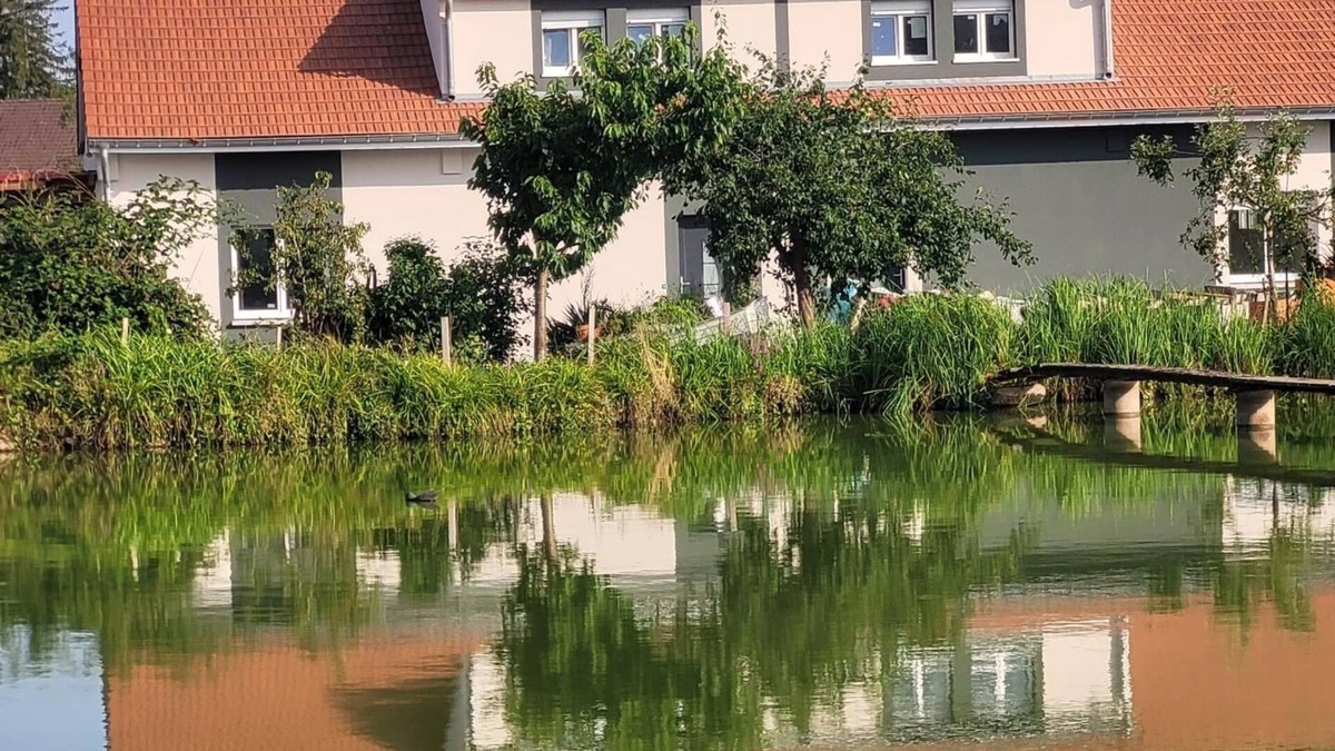 Petitefontaine House | Gîte De La Petite Fontaine