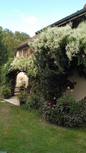 Ameugny House | Gîte des Cèdres Ferienwohnung à Ameugny Taizé Cluny