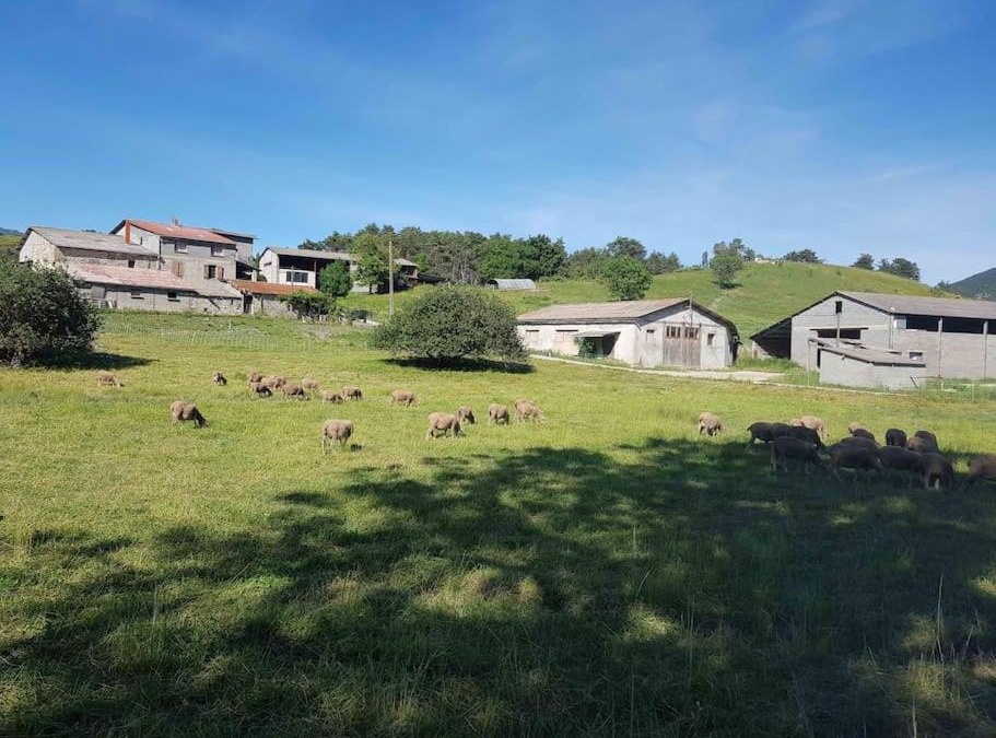 Rosans Apartment | Gîte des Millets en Baronnies