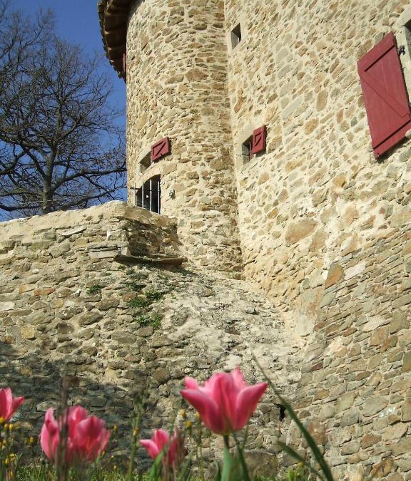 La Repara-Auriples Apartment | Gîte Donjon