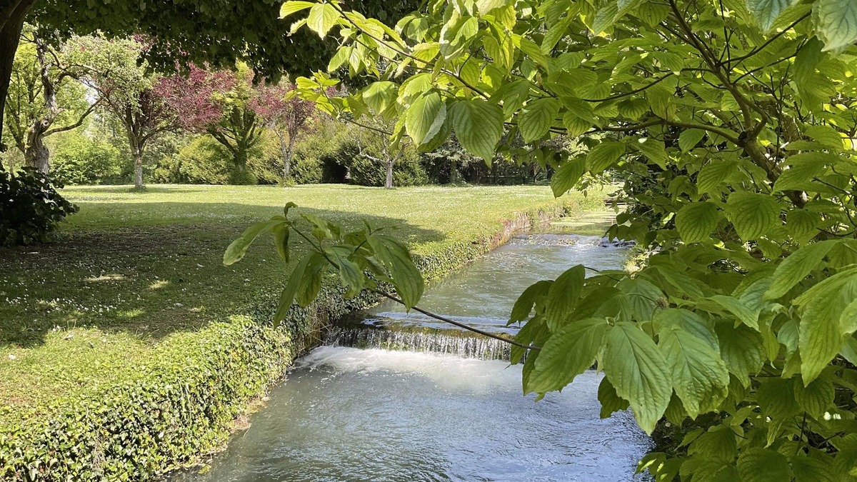 Dordives House | Gîte du Moulin du Mez, Idéal Pour les Amoureux de la Nature