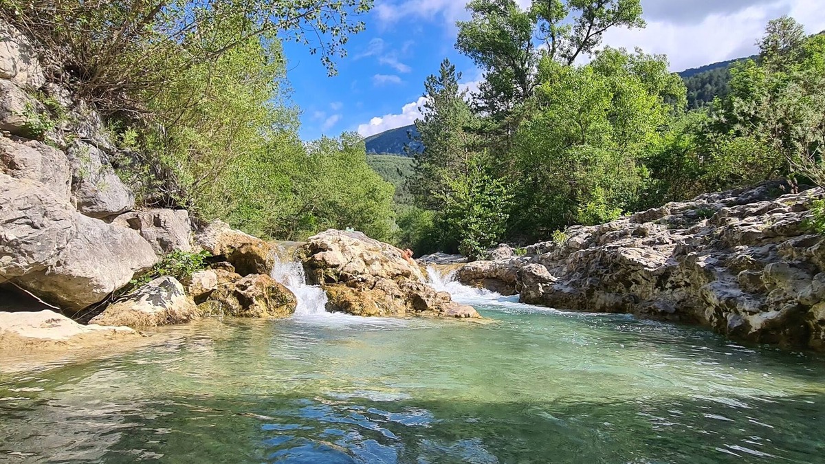 Faucon House | Gîte en Provence en Haut de Colline, Calme à Proximité Directe de la Forêt!