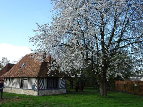 Coudray-Rabut House | Gîte Falafa Normand