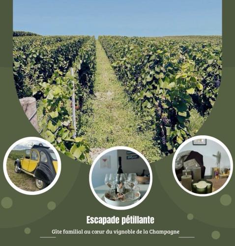 Venteuil House | Gîte familial dans le vignoble champenois