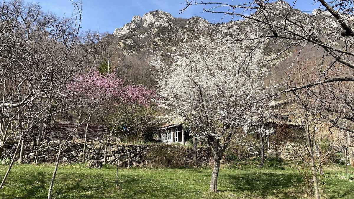 Saou House | Gîte for nature lovers 8km from Saou