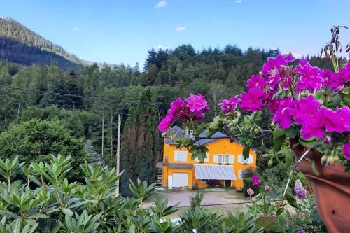 Raon-sur-Plaine Apartment | Gîte forestier du Moulin (10 pers)
