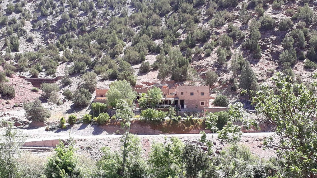 Ijjoukak House | Gîte inn: Tigmmi n'tmazirte