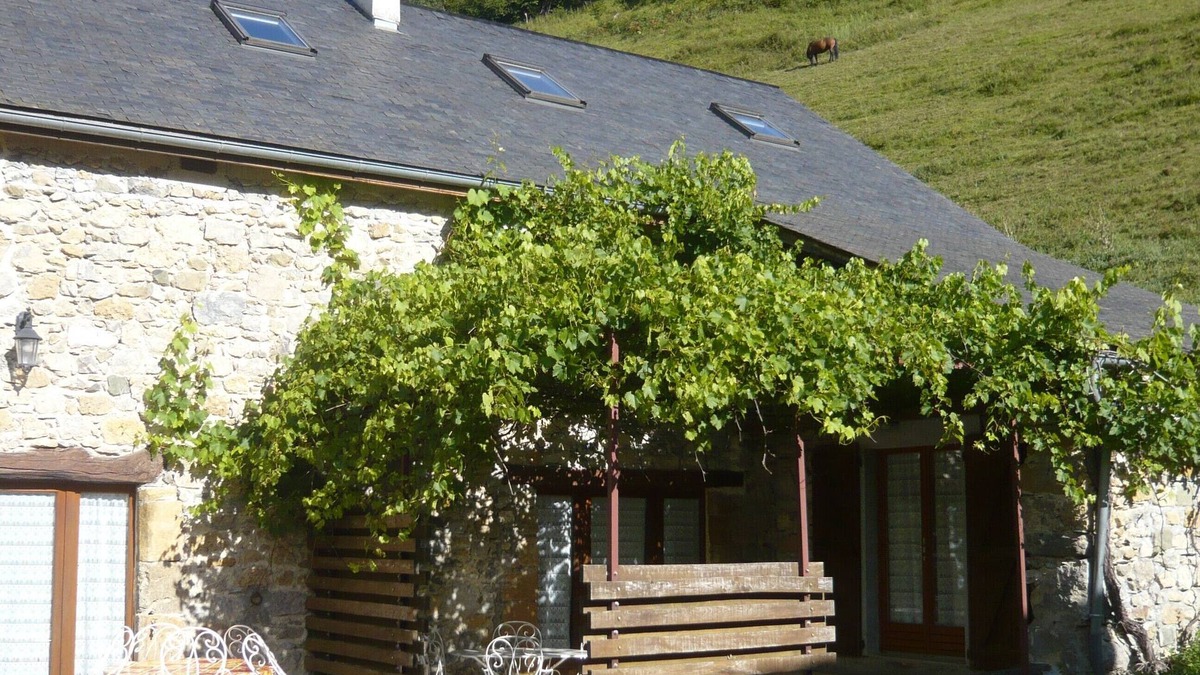 Osse-en-Aspe Other | Gîte Jaune - House on 5 ha property, swimming pool, sauna, animals,