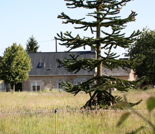 Jupilles House | Gîte La Poterie