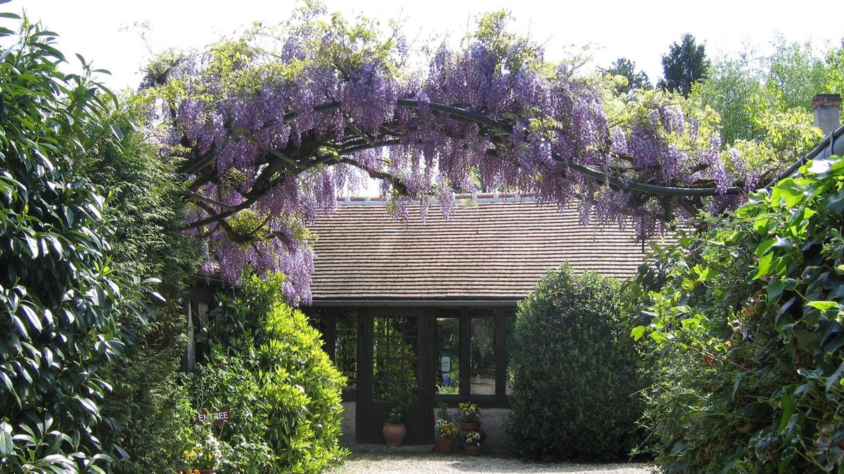 Nouan-le-Fuzelier Bed & Breakfast | Gîte La Tanière du Goupil Sologne 2 to 4 persons