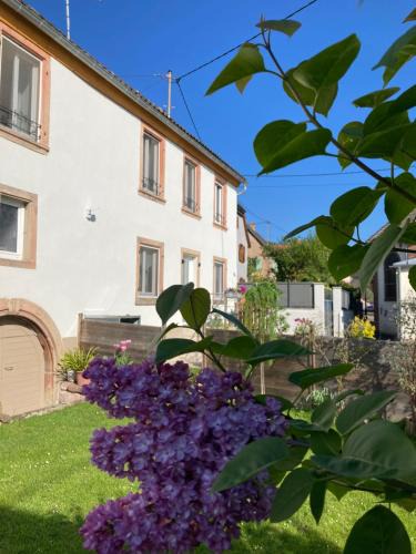 Saint-Nabor House | Gîte Le 1602