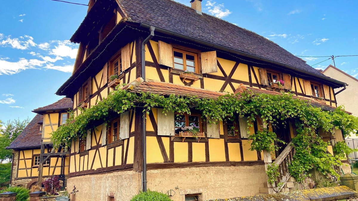 Rangen House | Gîte Le Chut - Jacuzzi & Swimming pool - 22km Strasbourg