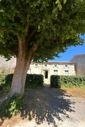 Saint-Porchaire House | Gîte Le Logis du Tilleul