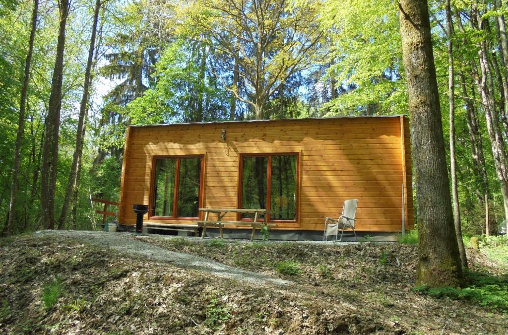 Cerfontaine House | Gîte LE SOUS-BOIS