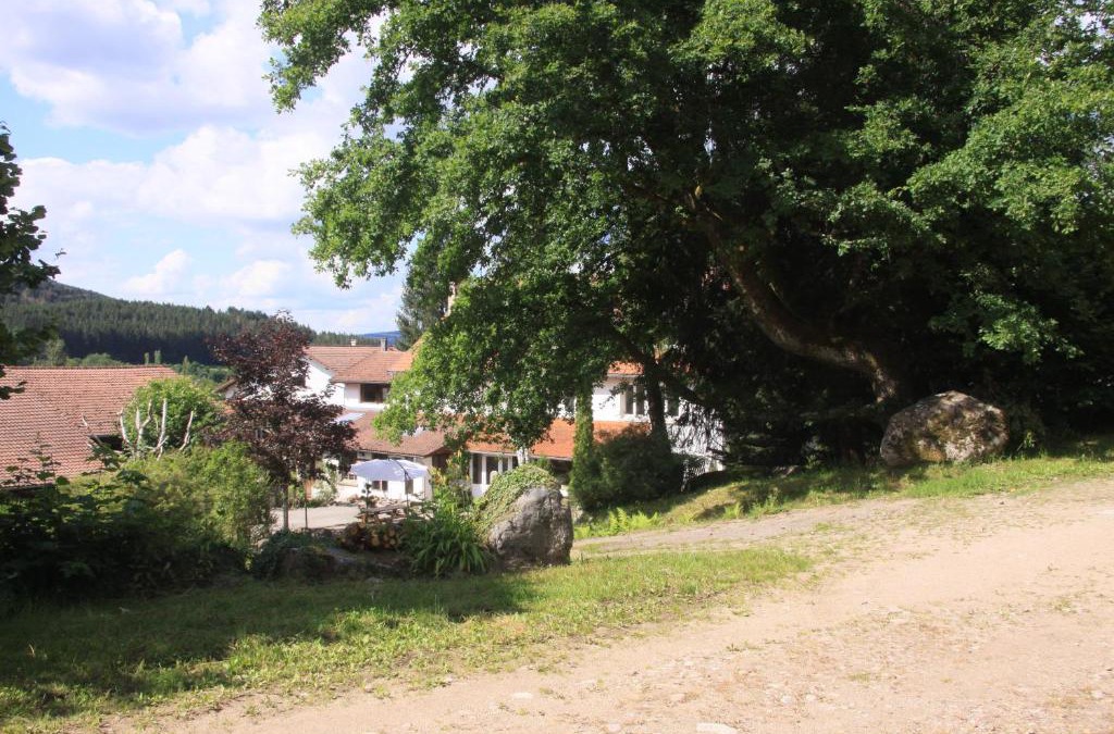 Ban-sur-Meurthe-Clefcy House | Gîte Le Tyrol