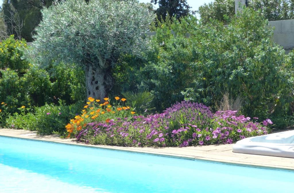 Marseillan House | Gîte Les Lauriers Roses