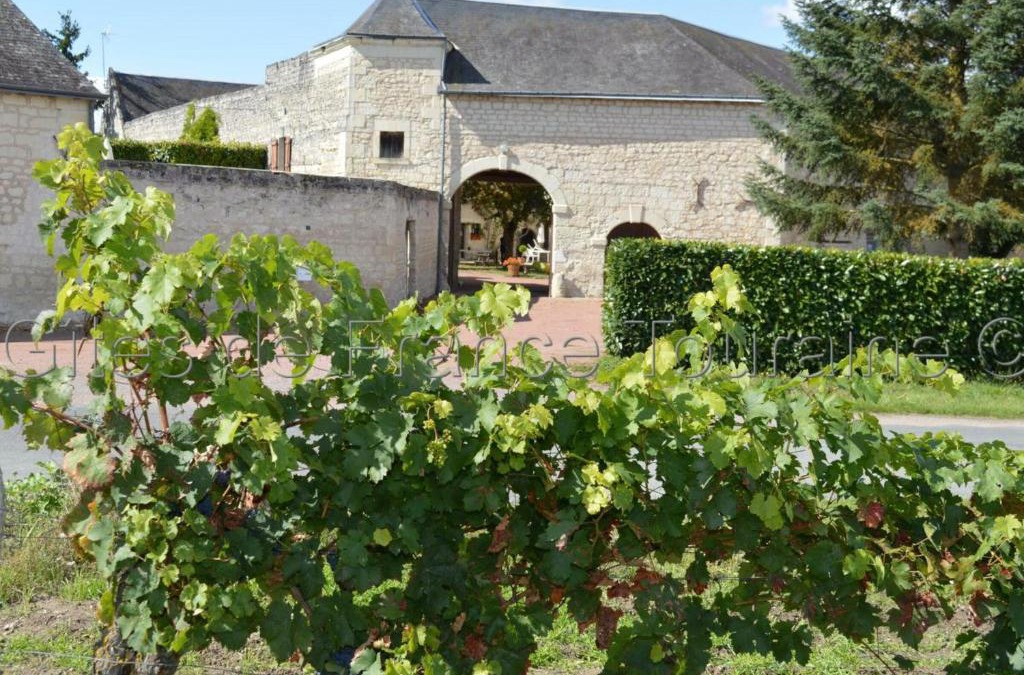 Ligre House | Gîte Ligré, 8 pièces, 15 personnes - FR-1-381-129