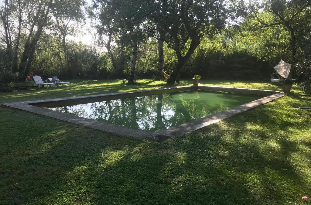 Saze Apartment | Gîte N1 avec piscine