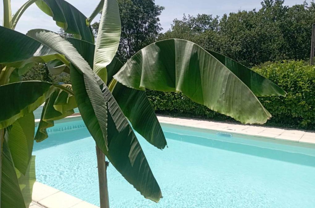 Salviac House | Gîte NATURISTES Périgord Rocamadour Sarlat naturiste de mi mai à septembre