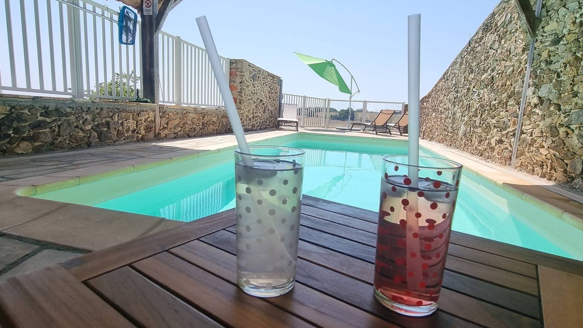 Maurs House | Gîte Piscine Cantal Lot. Charme/confort/loisirs. Corps Ferme Clos & Privatif