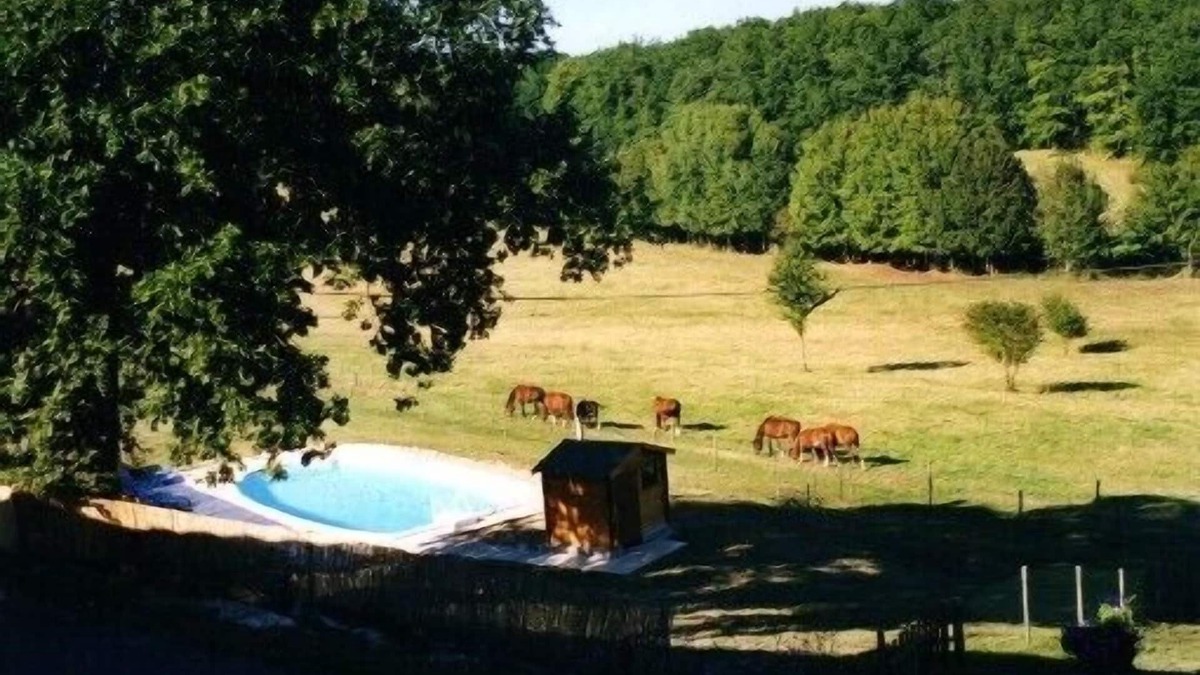Monestier House | Gîte viticole Château Tourmentine 14 pers/piscine/ideal for groups and friends/campagne