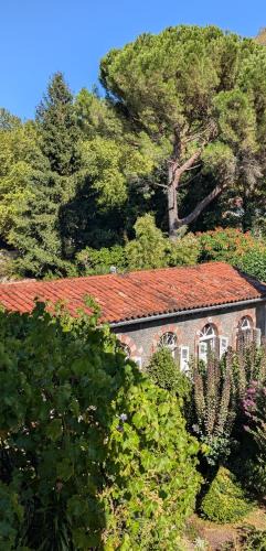 Mazamet House | Gîte Wistéria