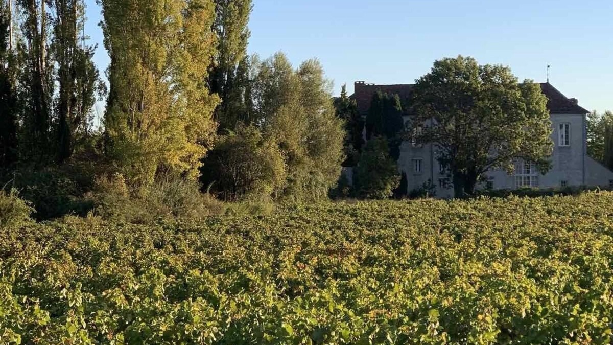 Vougeot House | Gîtes bo Maisonnette de charme - View Clos Vougeot castle