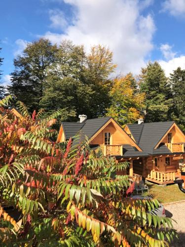 Karpacz Ski Chalet | Góralska Osada Karpacz - Domki Lux