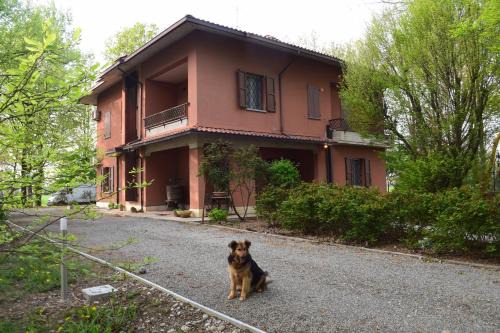 Soliera House | gambisa street
