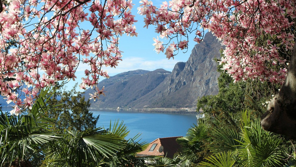 Castagnola Apartment | GARDEN-apartment Castagnola-near lakeindoor-pool,aircondition,lakeview, with dog