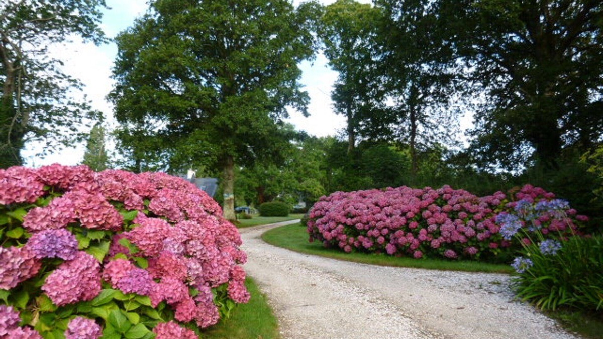La Foret-Fouesnant Cottage | GARDEN FLOOR class 3* in park. Seaside.2 pers