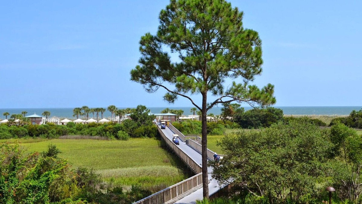 Palmetto Dunes Resort | Garden View - 2 Bedroom - Marriott's SurfWatch - Full Resort Access