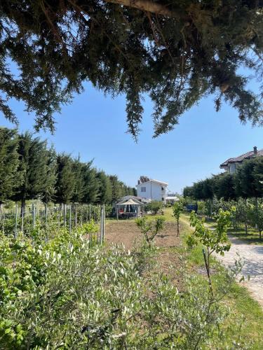 Sakës House | Garden Villa Sunny