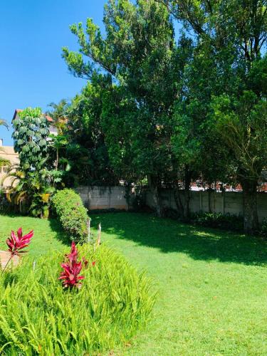 Musgrave Apartment | Gardenlea