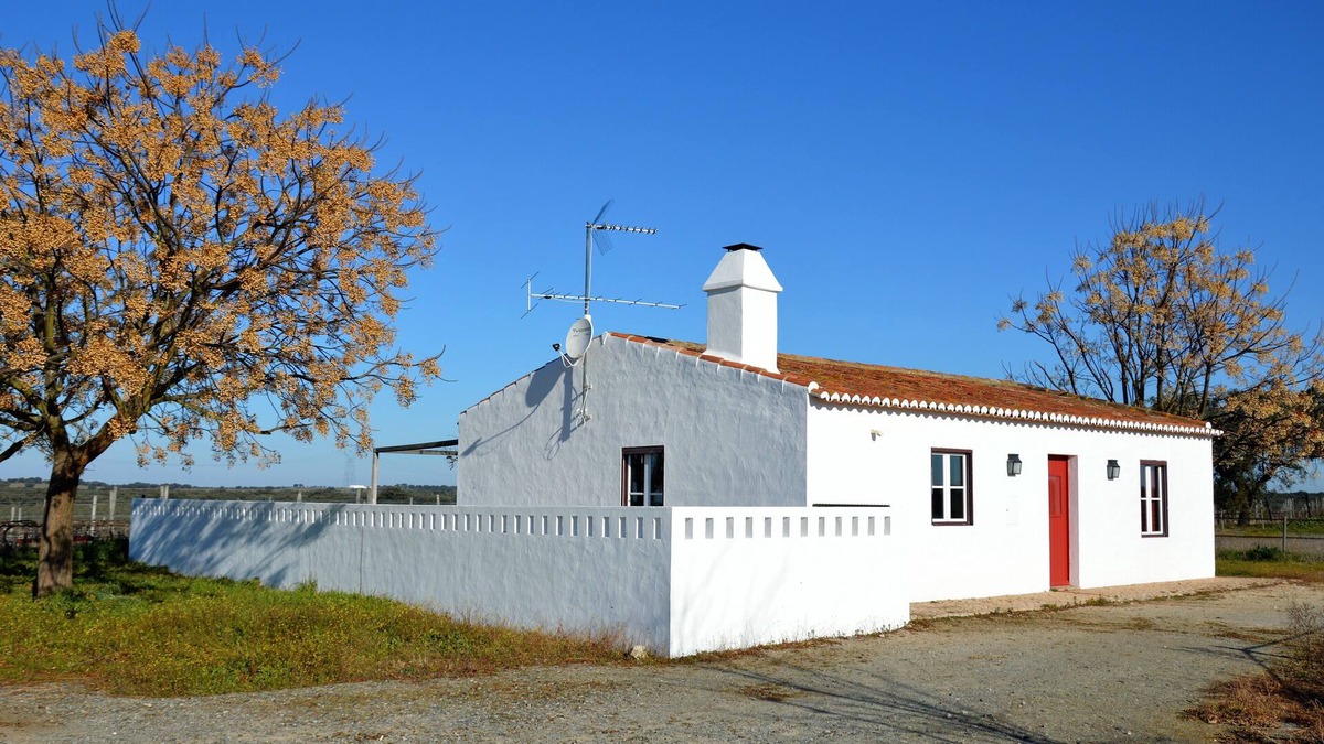 Alter do Chao House | Gardian's house surrounded by vineyards and oak and olive trees