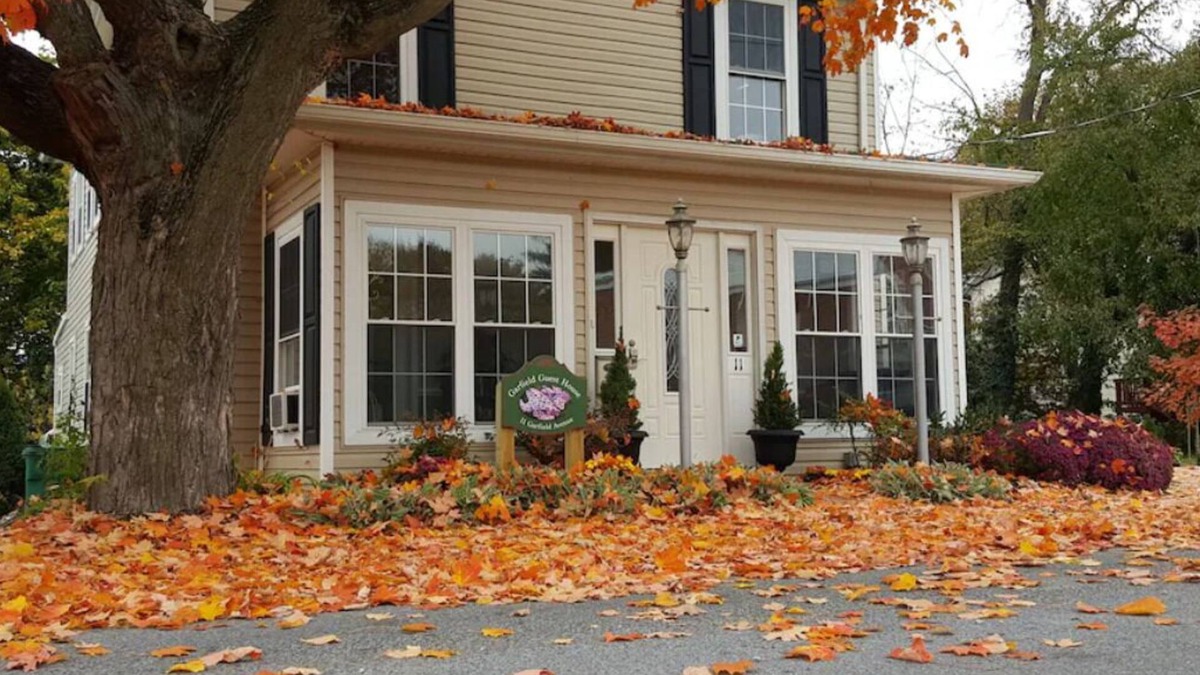 Luray Apartment | Garfield Guest House - Hawksbill Suite