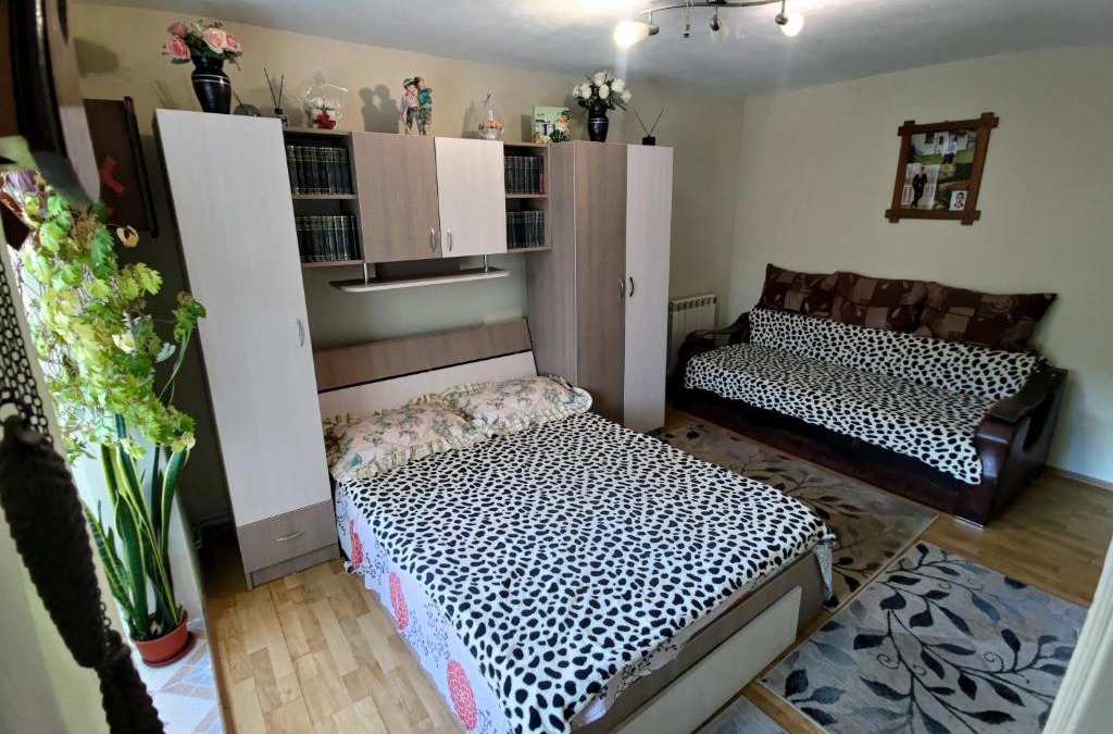 Prajila Apartment | Garsoniera Irene