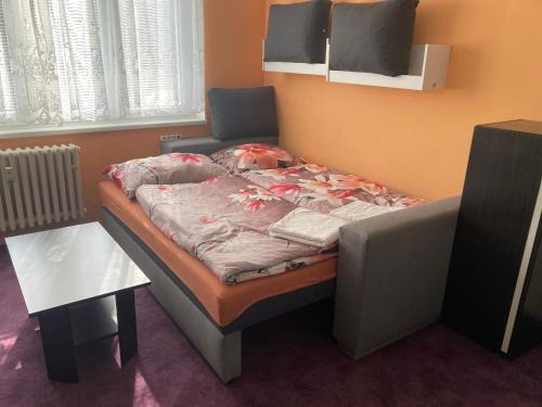 Horni Slavkov Apartment | Garsoniera U lesoparku