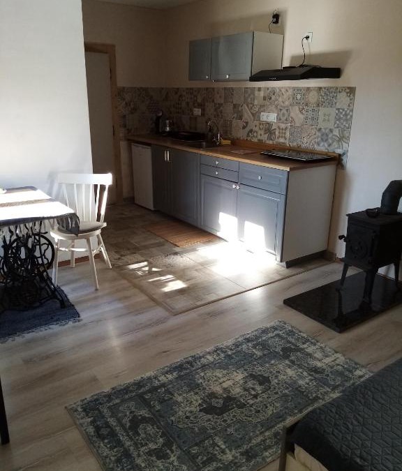 Roznov Pod Radhostem Apartment | Garsonka u pivovaru, centrum Rožnov
