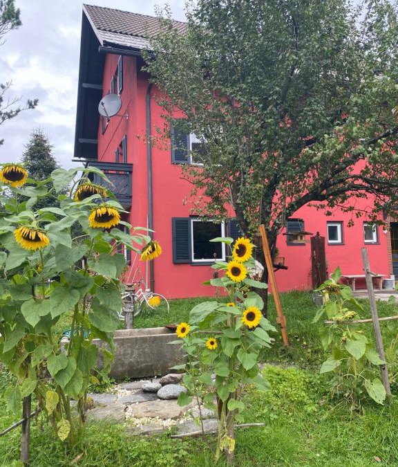 Feld am See Apartment | Gartenappartement Schaffler