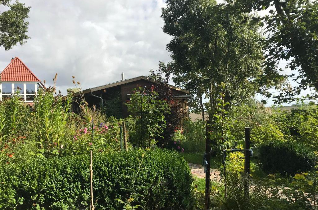 Neugalmsbull House | Gartenhaus Frieda