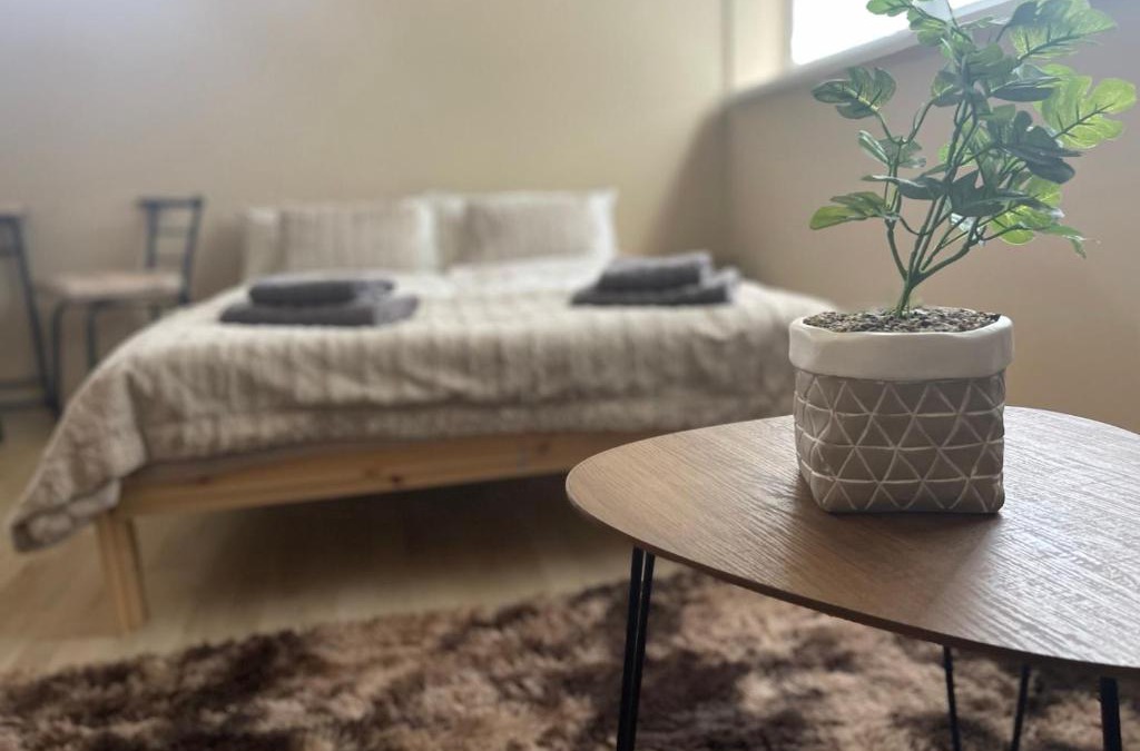 Sahy Apartment | Garzon Studio apartment