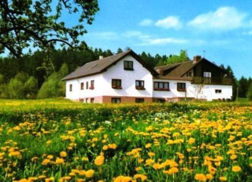 Beuchen Hotel | Gasthaus-Pension Zum Brandweiher