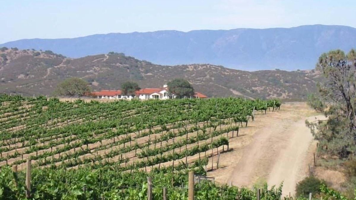 Soledad House | Gated Mediterranean villa surrounded by vineyards near Pinnacles National Park.