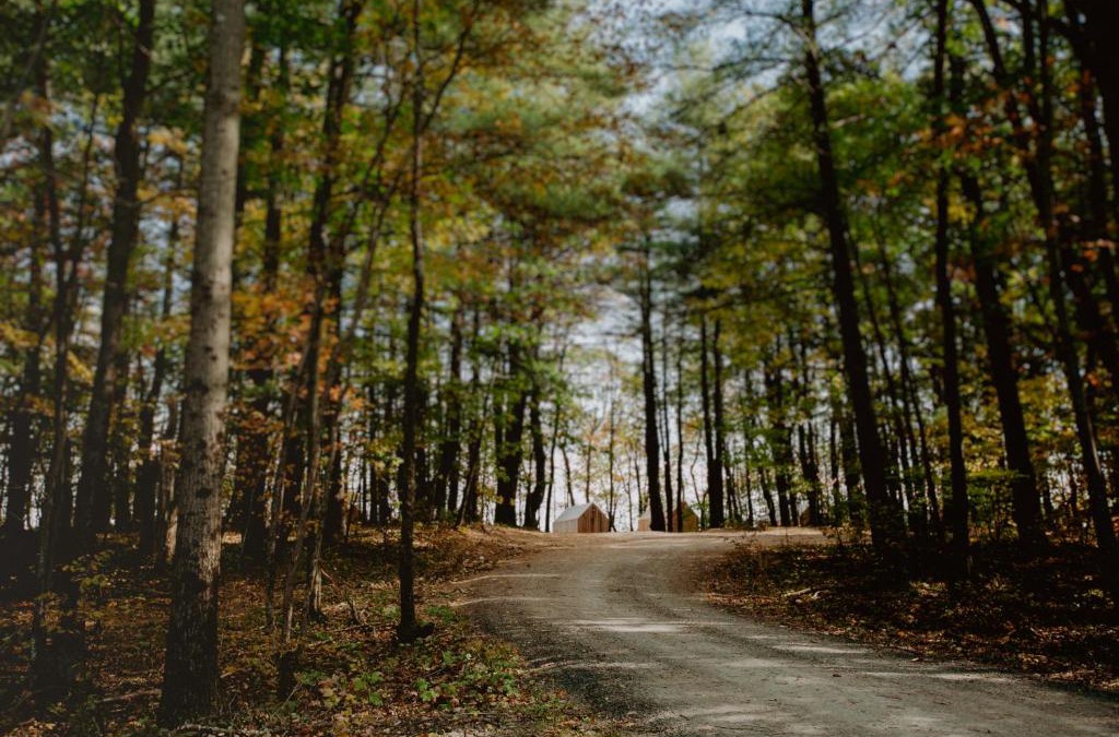 Catskill Hotel | Gather Greene