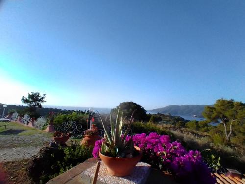 Porto Azzurro Apartment | Gavila's Residenza Turistico Alberghiera