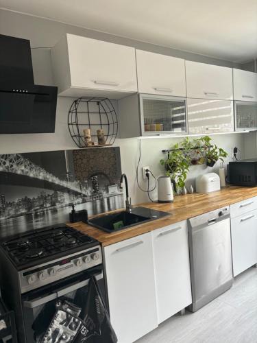Babie Doy Apartment | Gdynia Apartament Torpedownia