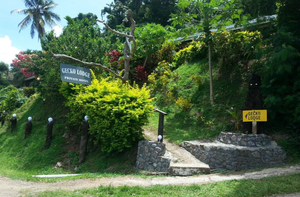 Savusavu Cabin | Gecko Lodge Fiji