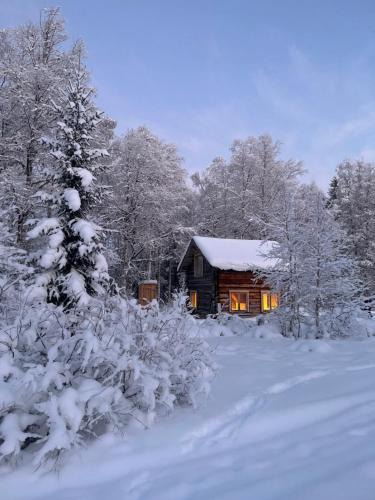 Jorn House | Gemütliche Blockhütte mit Außentoilette und Badezimmer im Haupthaus